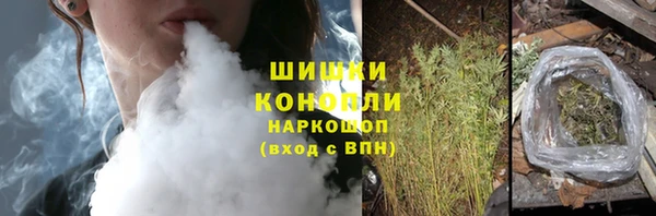 дживик Кинешма