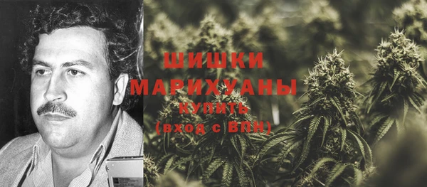 МДПВ Волосово