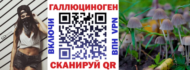 Псилоцибиновые грибы Psilocybe Дрезна